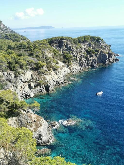 Bel Appartement 6 Personnes - Proche Toutes Commodites Toulon Buitenkant foto