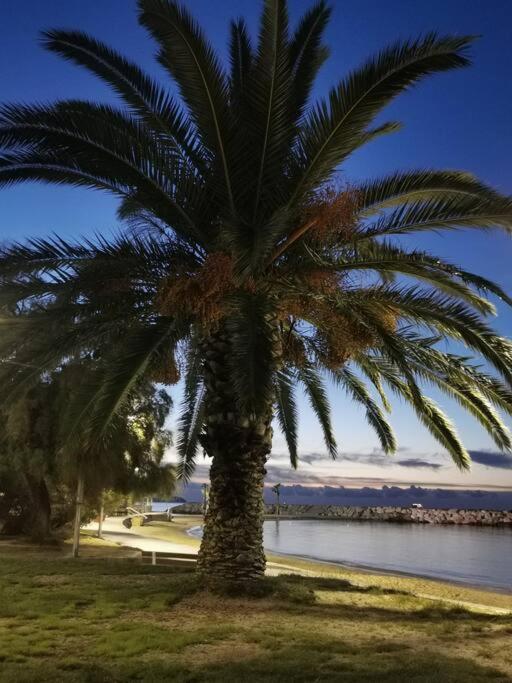 Bel Appartement 6 Personnes - Proche Toutes Commodites Toulon Buitenkant foto